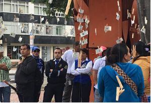 ¿Milagro o estrategia política? Varios bogotanos quedaron sorprendidos por el árbol lleno de billetes que apareció en el norte de Bogotá