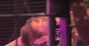 Vídeo: Leão acorda de mau humor e ataca domador durante apresentação de circo