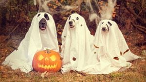 Los mejores disfraces de Halloween para perro en Instagram