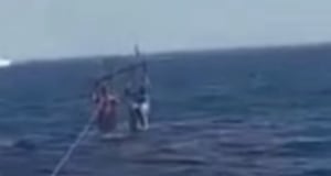 Vídeo angustiante registra momento em que homem é atacado por tubarão durante prática de esporte no mar; assista