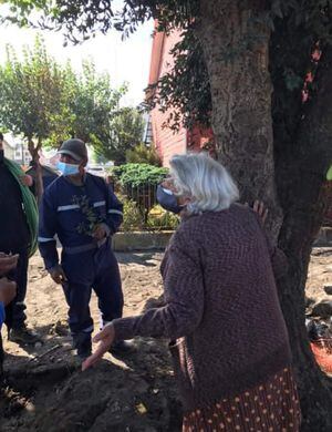 Adulta mayor interpone su cuerpo para impedir que corten un alcornoque en Talcahuano