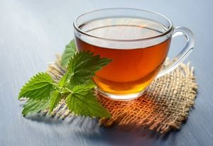 Cinco tratamientos naturales para la gastritis