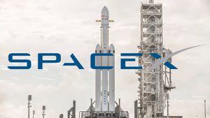 SpaceX llega a los 895 satélites Starlink instalados con último lanzamiento