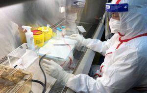 Equipo de la OMS en Wuhan asegura que obtuvo datos sobre el coronavirus "que nadie ha visto antes"