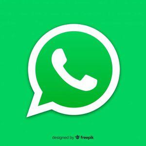 Quatro novos recursos liberados pelo app WhatsApp nos últimos dias