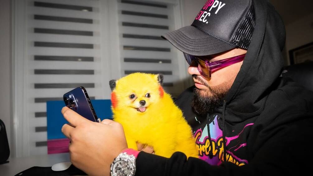 Erik Torres, CEO de World Famous Puppies.