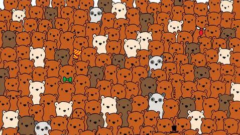 Hay otro animal que no es un oso.