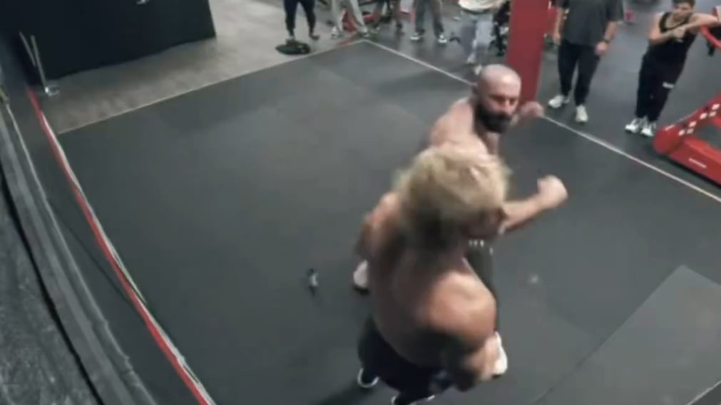 Bradley Martyn y Logan Paul