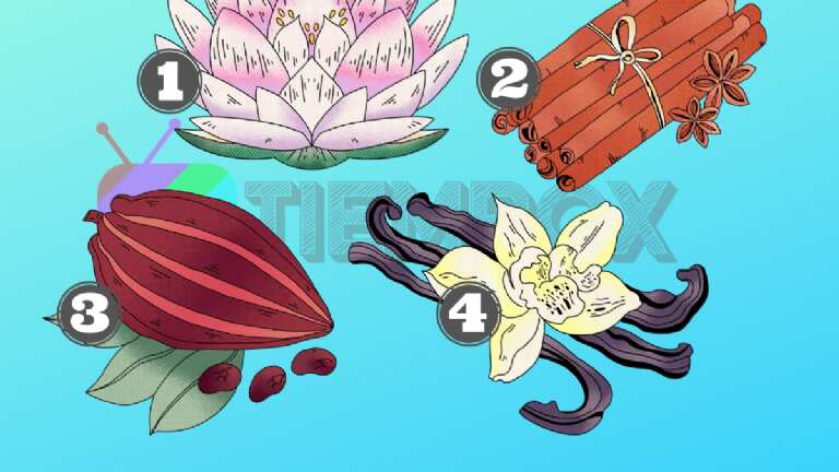 Pon mucha atención y elige la imagen que más te guste.