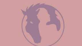 Elige una de las figuras.