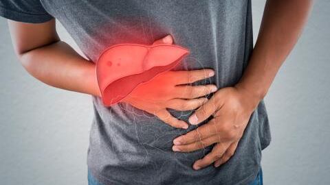 Los carbohidratos, la sal y las carnes rojas le hacen daño al Hígado
