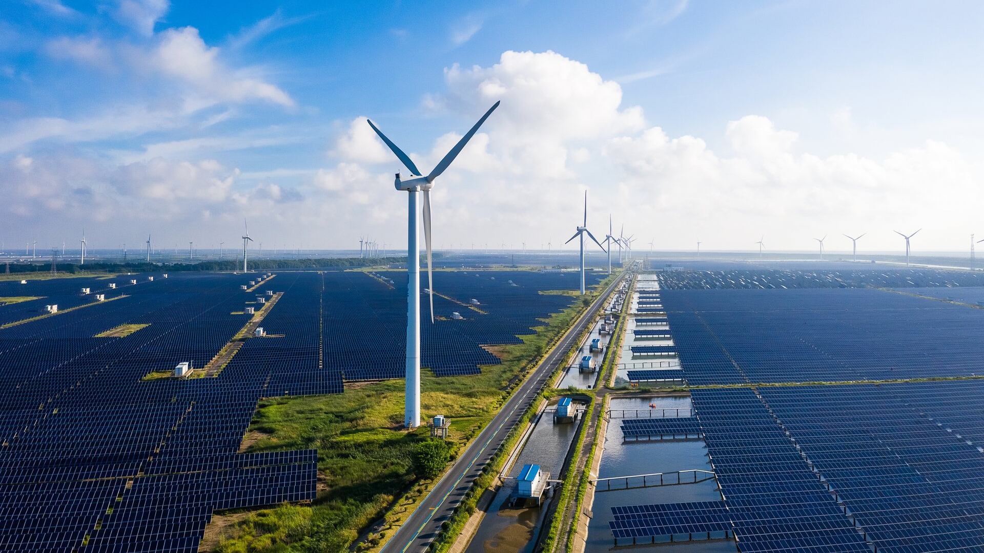 La sostenibilidad no es una tendencia, sino una urgencia ética que requiere acciones inmediatas y concretas. Foto: cortesía.