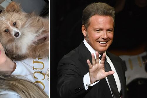 Aracely Arámbula deja entrever que Luis Miguel ya convive con sus hijos