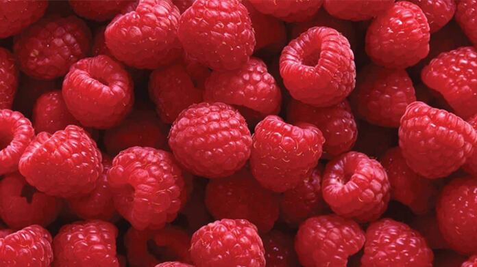 Las frambuesas contienen azúcar natural que puede satisfacer a los golosos. | Foto: Referencial