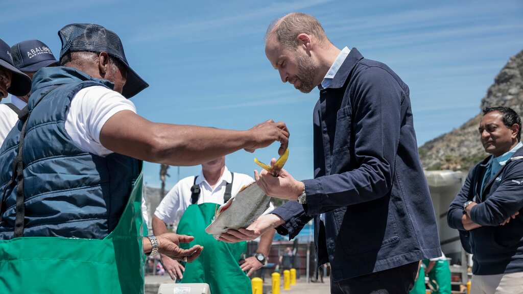 Príncipe William en Sudáfrica.