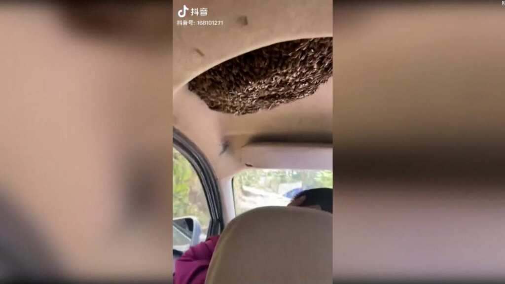 Una situación insólita