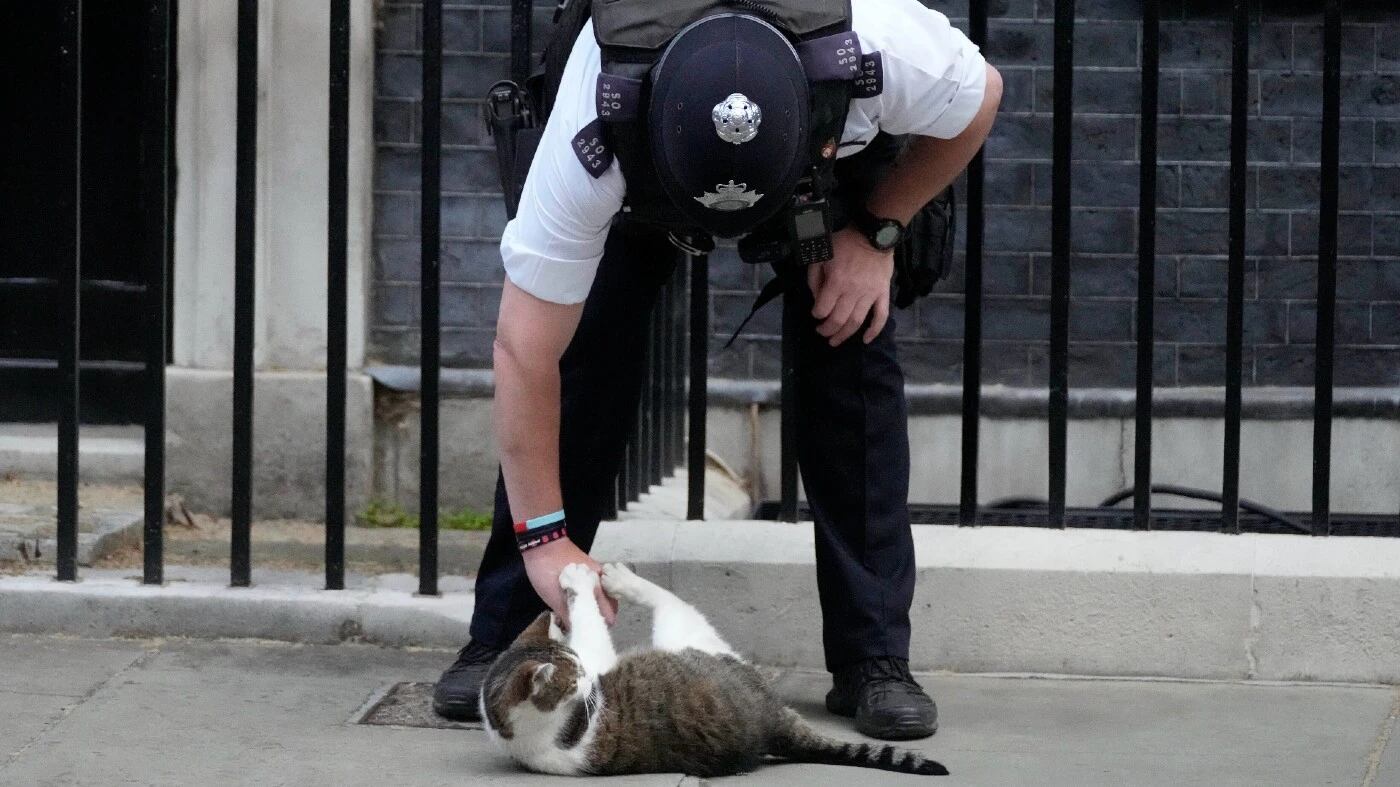 Es la mascota más adorable