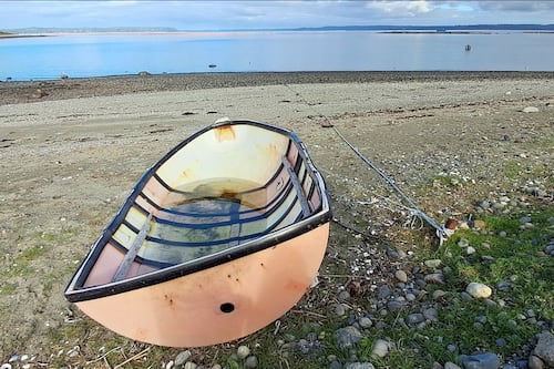 Comunidades australes transforman la basura pesquera para vivir