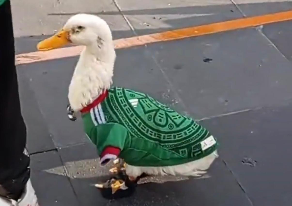 Mascota chilanga.