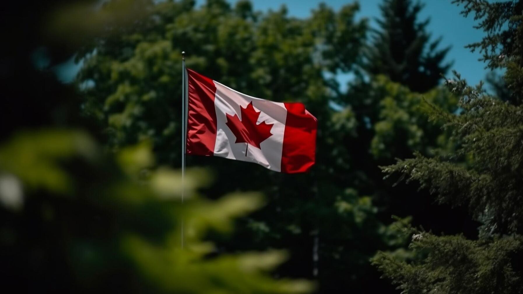 El gobierno quiere evitar problemas de vivienda y servicios a futuro