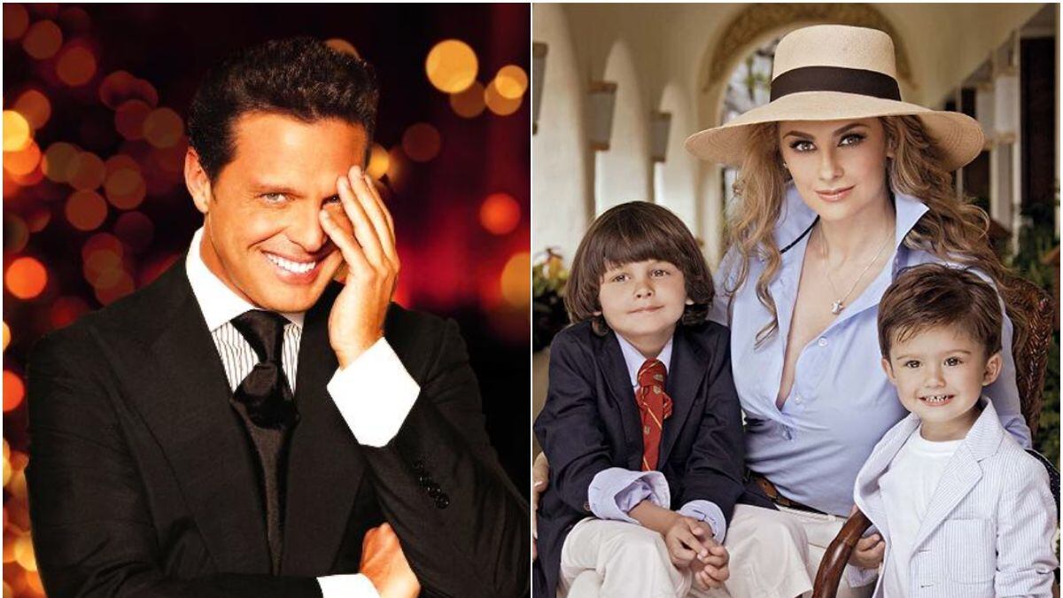 Luis Miguel y Aracely Arámbula tuvieron dos hijos.