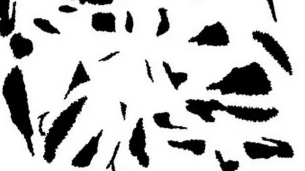 Descubre que ves en la imagen.