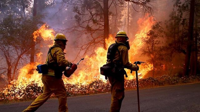 En el Día Mundial de la Prevención de Incendios Forestales se resalta la labor de los bomberos.