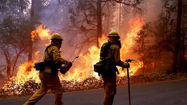 En el Día Mundial de la Prevención de Incendios Forestales se resalta la labor de los bomberos.