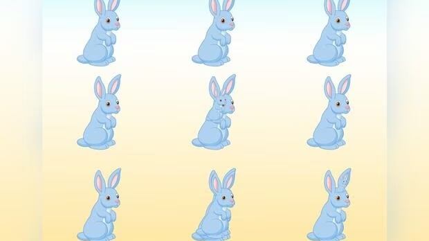 Descubre cuántos conejos hay en la imagen.