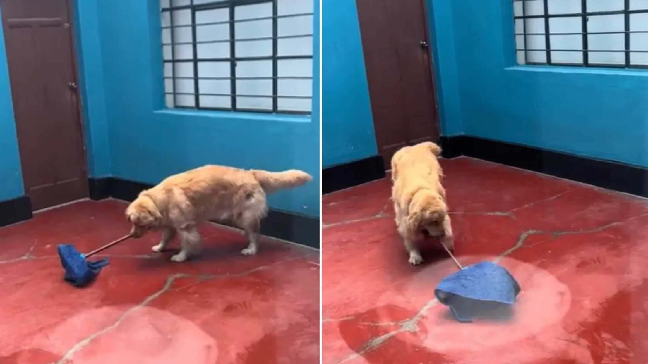 Un momento tan curioso como adorable