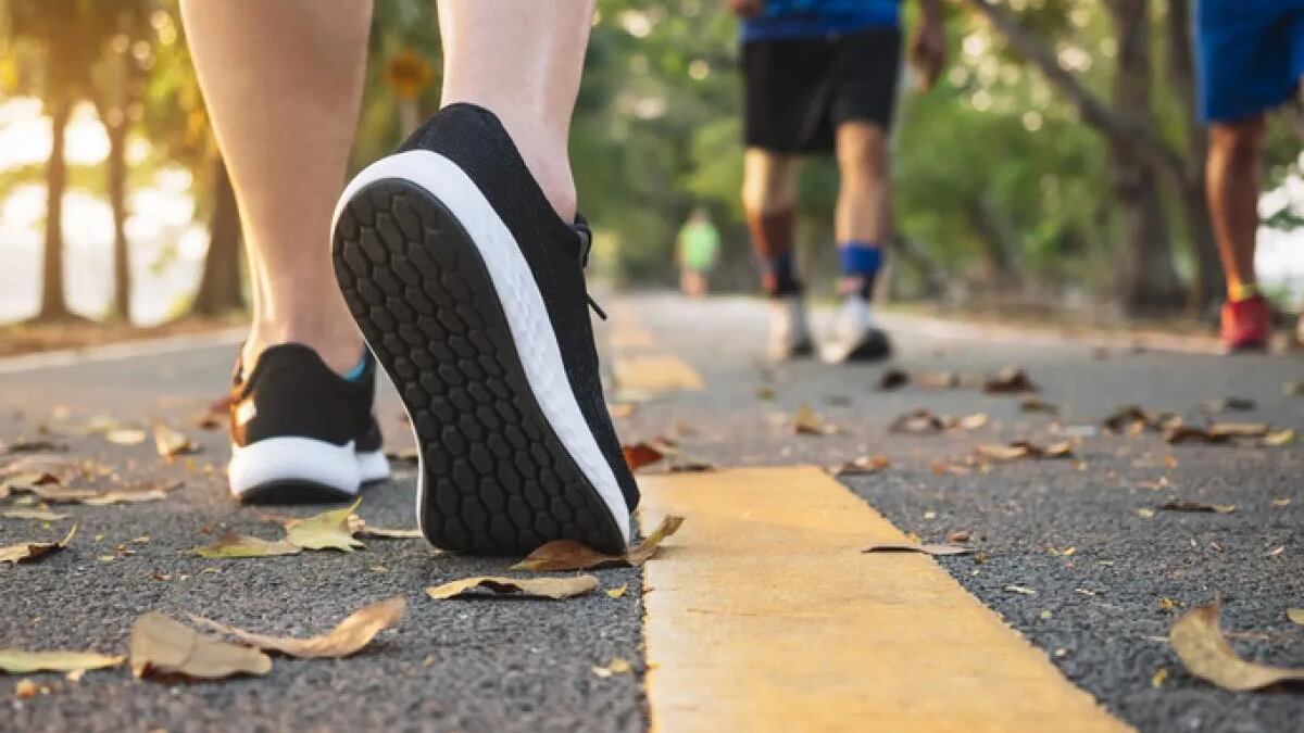 Los músculos grandes se activan al caminar.