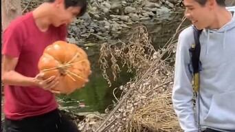 Hallan calabaza con brujería