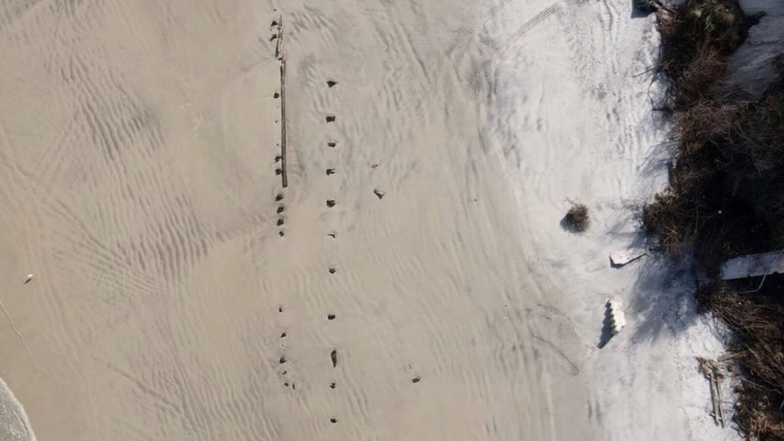 Extraño objeto aparece en las playas de Florida y causa revuelo en las redes