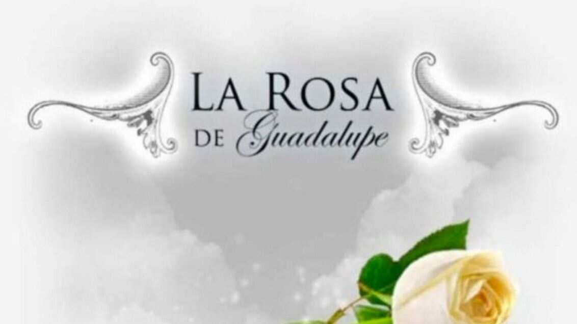 rosa de guadalupe