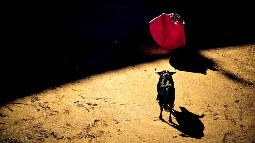 La tauromaquia está llena de riesgos