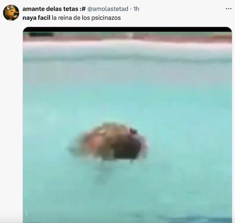 Comentarios sobre piscinazo de Naya Fácil | Fuente: X (Twitter)