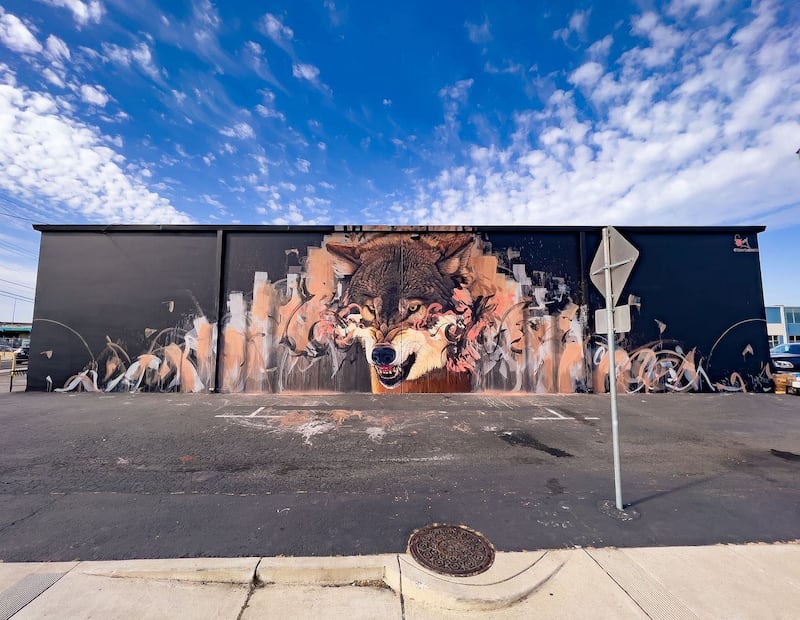 El artista Sonny Behan se ha hecho famoso por transformar las paredes urbanas en vibrantes escenas de fauna silvestre que difuminan la línea entre el concreto y la naturaleza. Foto: Sonny Behan.