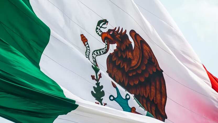 Los mexicanos se vieron afectados severamente por el Covid-19