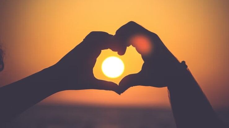 La curiosa declaración de amor que se hizo viral en TikTok