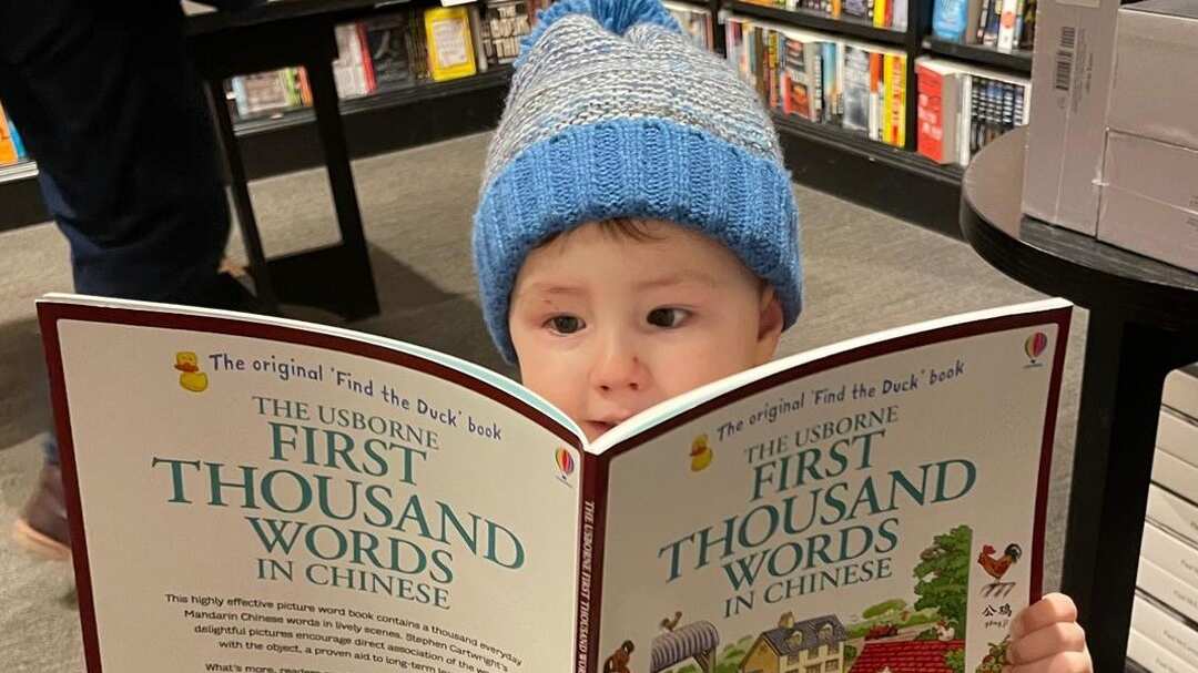 Teddy, es un niño británico que aprendió leer a los 2 años.