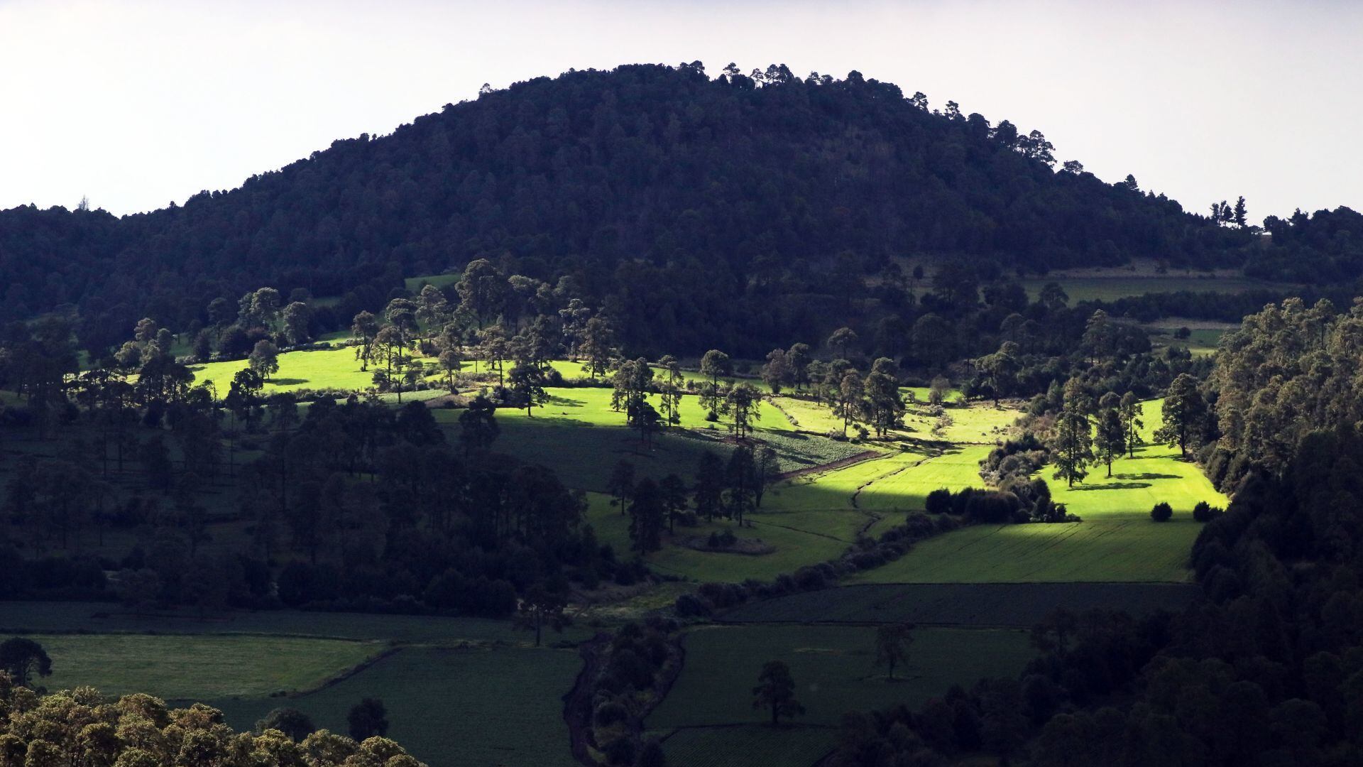 Áreas Naturales Protegidas en México, sin presupuesto ni vigilancia