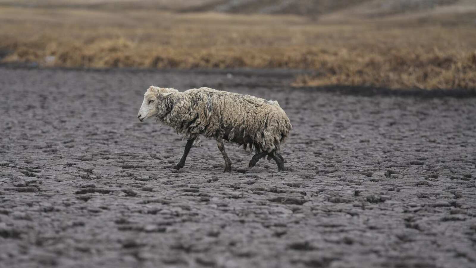 Una laguna entera desaparece en los Andes de Perú por sequía