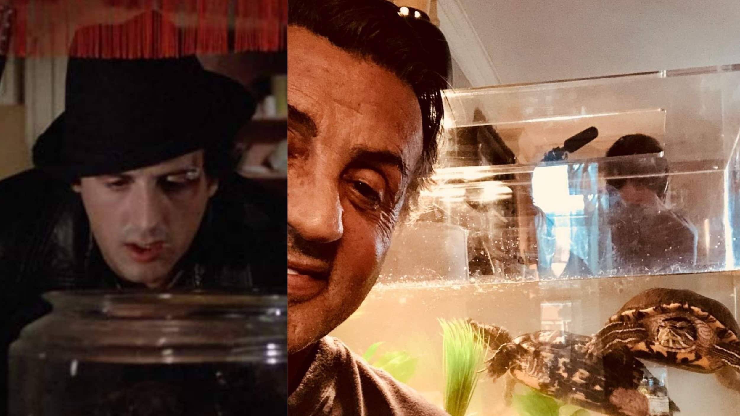 La historia de las tortugas de “Rocky” que Sylvester Stallone conserva desde hace más de 40 años