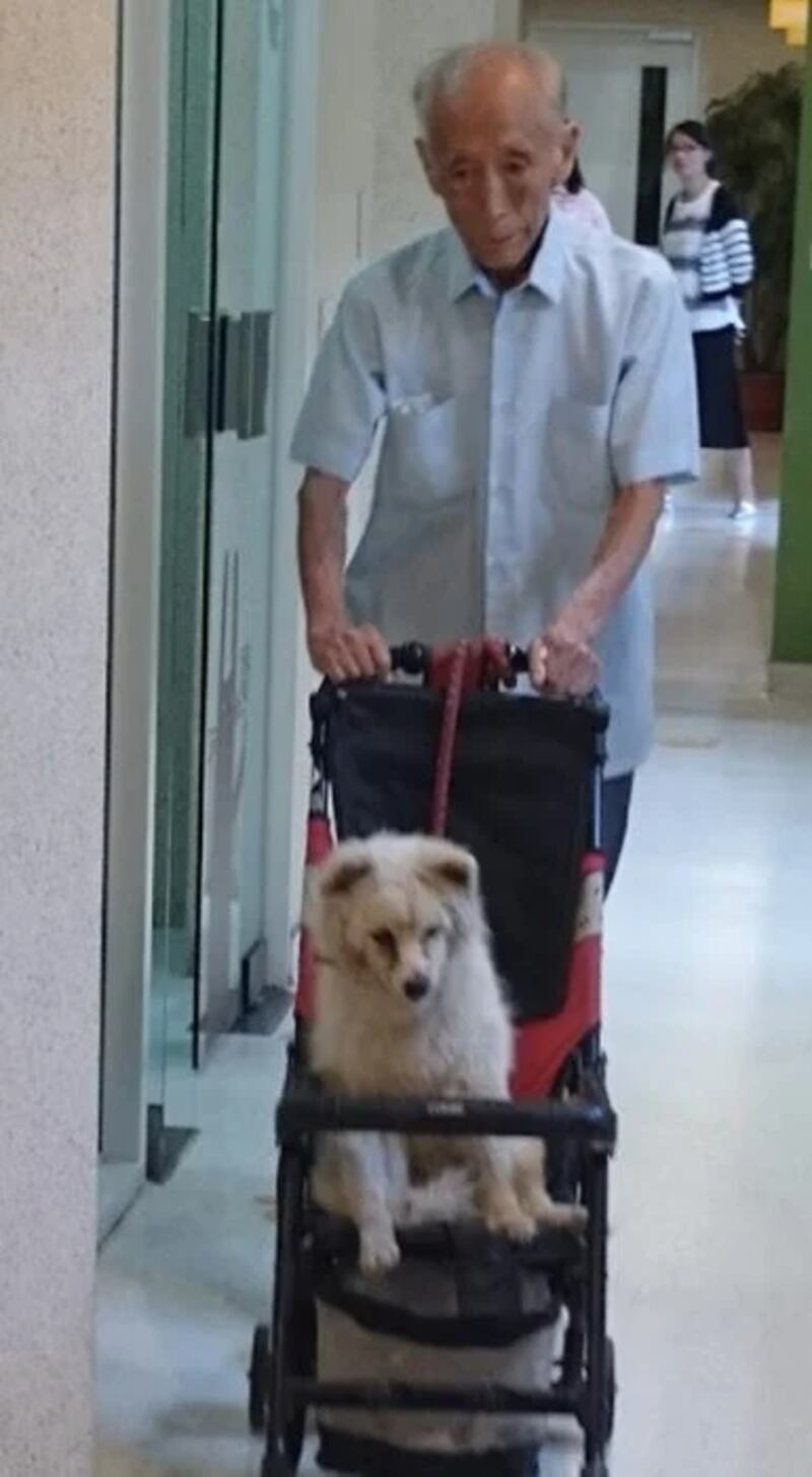 Abuelito lleva en carriola a su perrito, para visita al veterinario.