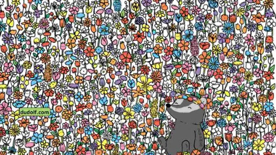 Descubre en dónde están las cinco mariposas.