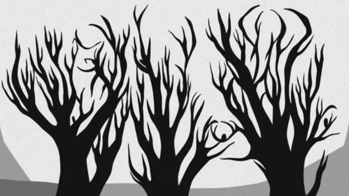 Encuentra los animales ocultos.