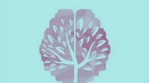 Elige una de las opciones.