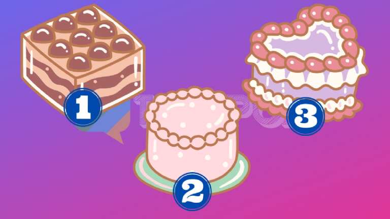 ¿Cuál te gusta más?