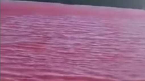 El río Nilo se pintó de rojo