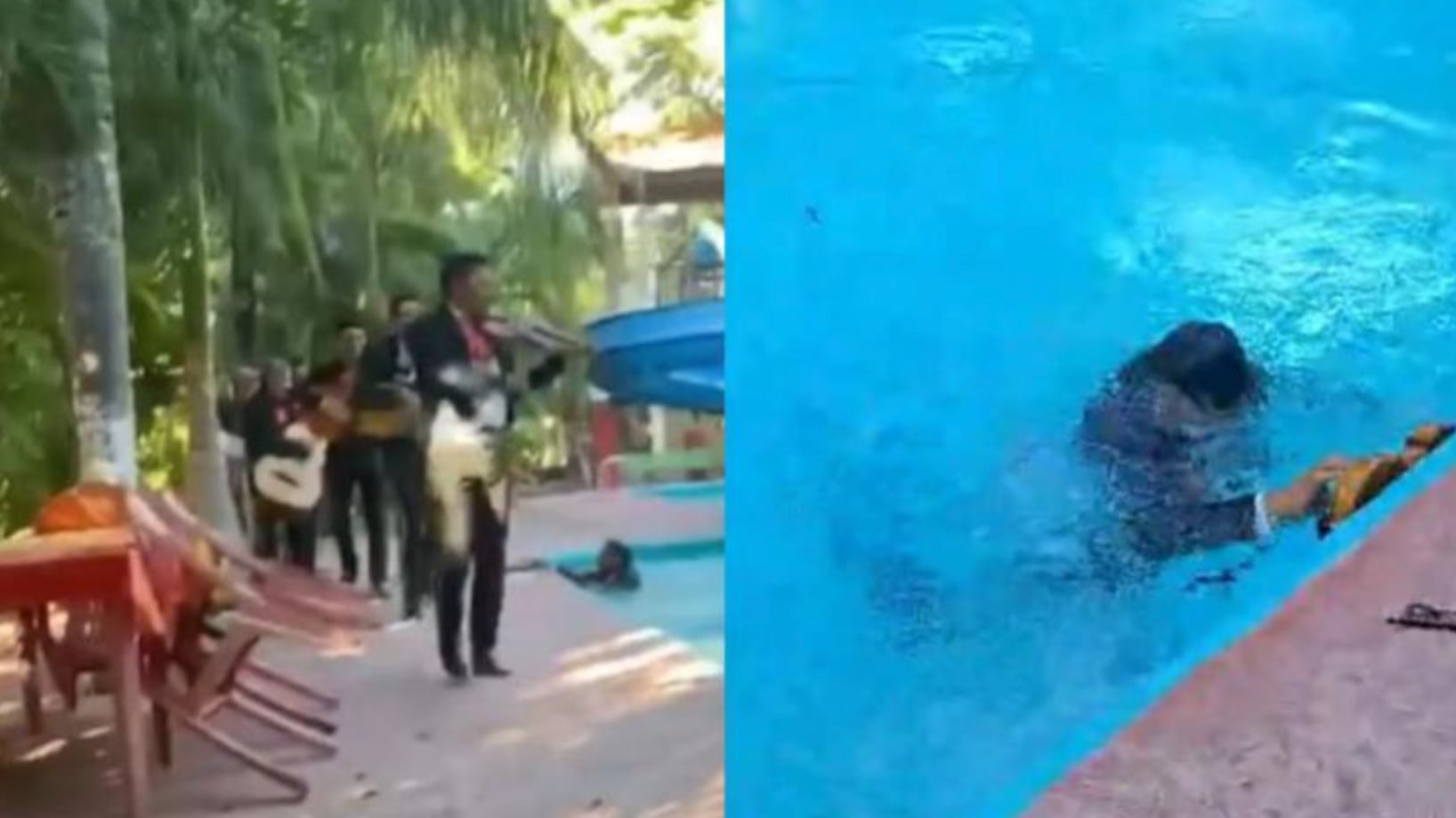 Se robó la atención